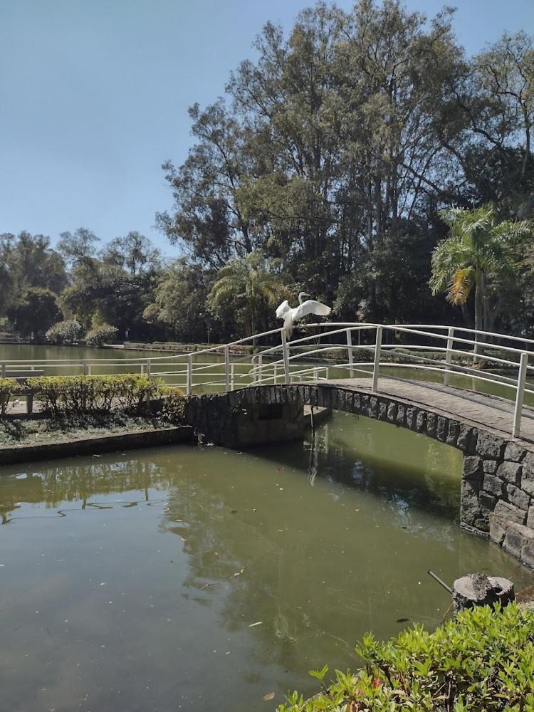 Royal Luxury Premium Apartment Pocos de Caldas Bagian luar foto